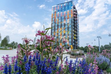 Renkli apartmanın yanında bir tek raylı var ve ön planda Hollanda, Almere 'deki bahçıvanlık sergisinde zambaklar ve Salvia ile birlikte bir çiçek kutusu var.