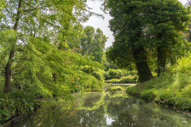 Hollanda, Rotterdam 'daki bir botanik bahçesindeki bu hendeğin suyundaki farklı ağaç ve çalıların güzel bir yansıması.