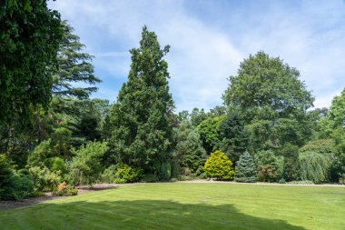 Hollanda, Rotterdam 'daki bu güzel botanik bahçesinde renkli kozalaklı ağaçlar ve yaprak döken ağaçlar yetişiyor.