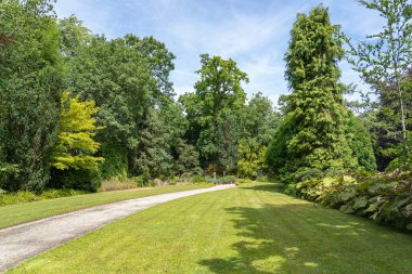 Bu patika ve çimler Hollanda, Rotterdam 'daki bir botanik bahçesindeki zengin bir ormandan geçiyor.