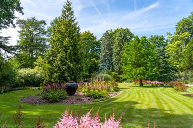 Bu dikkatlice biçilmiş çimenlikte Astilbe ve Hollanda Rotterdam 'daki bir botanik bahçesindeki çeşitli ağaç ve çalılarla çevrili büyük bir vazo var.