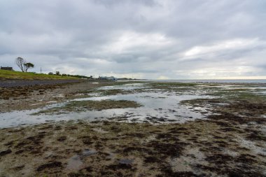 Dalgalar çekildiğinde, Wadden Denizi 'nin bir kısmı Vlieland hendeği boyunca kurur.