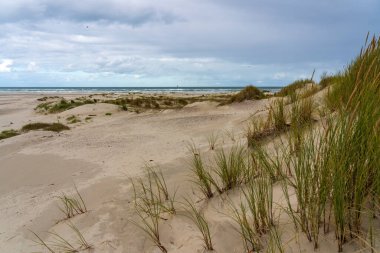 Wadden Adası 'nın arka kumulları Vlieland' in sahiline bitişik.