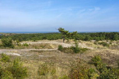 Photo of the dune area of the island of Vlieland clipart