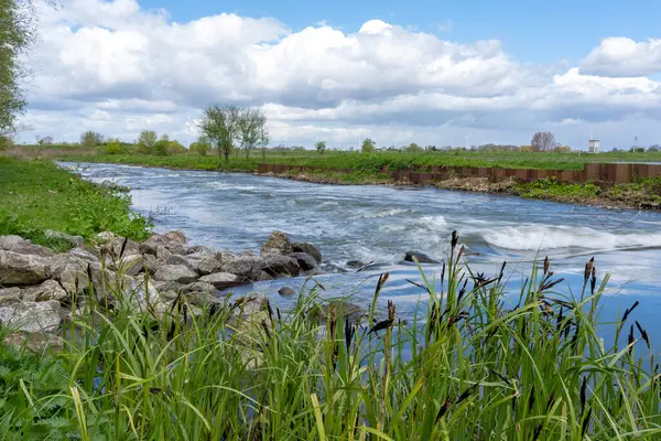De Lek nehrinin suyu Hagestein barajını geçerek balık merdiveninin üzerinden akıyor.