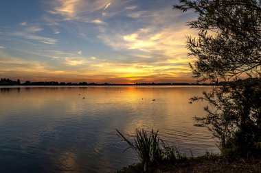 Hollanda, Zoetermeerse Plas gölünün kıyısından güzel bir gün batımı manzarası