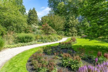 Hollanda, Rotterdam 'daki bu güzel botanik bahçesinde geniş bir ağaç ve çalılığın yanından geçen bir kabuk yolu var.