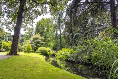 Hollanda, Rotterdam 'daki bu güzel botanik bahçesinde her rengin olduğu bir hendek.