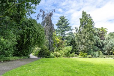 Hollanda, Rotterdam 'daki bu botanik bahçesi çeşitli şekil ve renklere sahip çok çeşitli ağaç ve bitkiler içerir.
