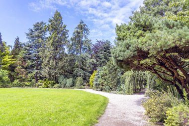 Hollanda, Rotterdam 'daki bu güzel botanik bahçesinde çok çeşitli ağaç ve bitkiler var.
