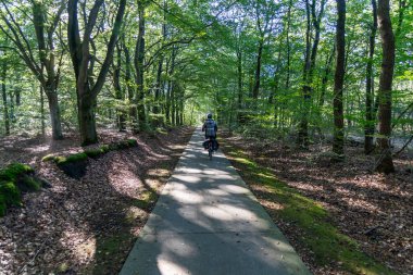 Putten, Hollanda yakınlarındaki Speuldersbos 'ta bisiklet yolculuğunun tadını çıkarın.