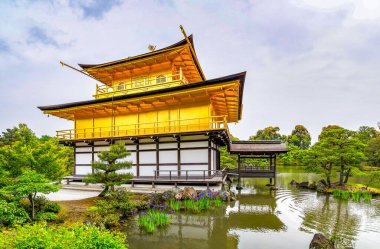 Japonya 'nın Kyoto kentindeki altın Kinkakuji tapınağının panoramik fotoğrafı güzel budanmış ağaçları ve çiçek açan mavi irisleri olan küçük bir gölün üzerindedir..