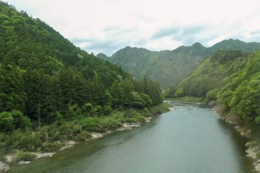 Bu nehir Hakone, Japonya yakınlarındaki orman tepelerinden esiyor.
