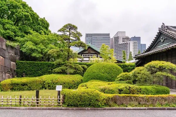 İmparatorluk Sarayı 'nda huzurlu bir bahçe manzarası. Doğu bahçesi, Tokyo, yeşillik, geleneksel binalar ve arka planda modern gökdelenler.