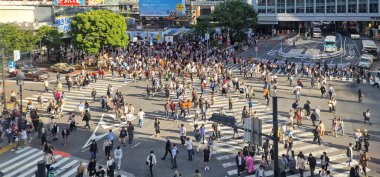Shibuya Geçidi, Tokyo, Japonya 'daki en yoğun zebra geçitlerinden biri.