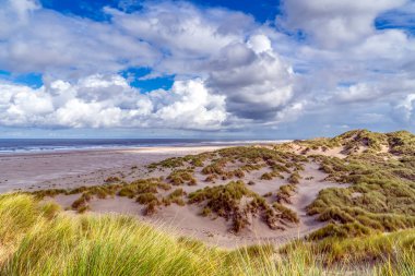 Bu kum tepesinden Terschelling adasının etrafındaki kumsal ve deniz manzarası görülebilir.
