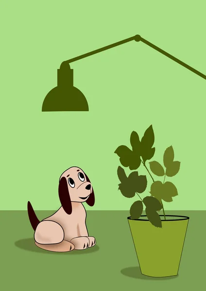 Little Brown Dog Looking Lamp Big Green Plant Foreground — Stock Photo, Image
