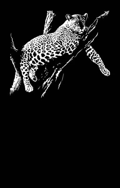 Bir ağaç dalındaki kaplan, vektör