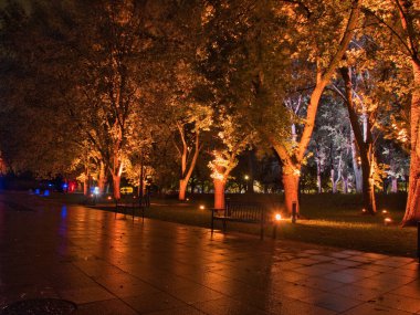 Ağaçlar ve ışık. Lodz, Polonya - 27 Eylül 2024 Lodz 'daki bir şehir parkında renkli olarak aydınlatılmış ağaçlar.