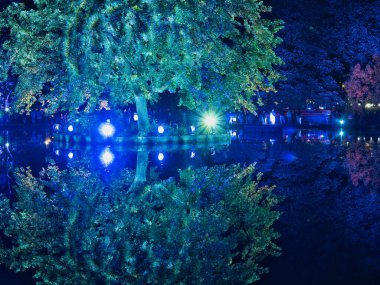 Doğa ve ışık. Lodz, Polonya - 27 Eylül 2025 Işık Festivali sırasında Lodz 'daki bir şehir parkındaki gölette güzelce aydınlatılmış ağaçlar.