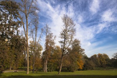 Autunno Parco Villa Reale Monza 'da Giardino