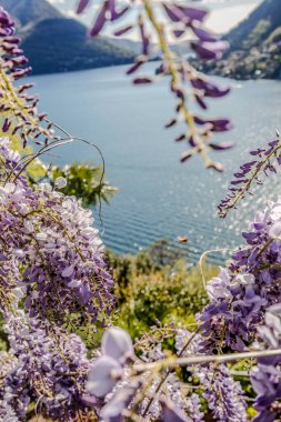 Como, İtalya 'dan manzara. Yaz manzarası, göl manzarası..