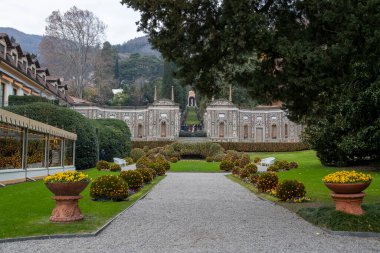 Giardino con luci di Natale