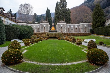 Giardino con luci di Natale 