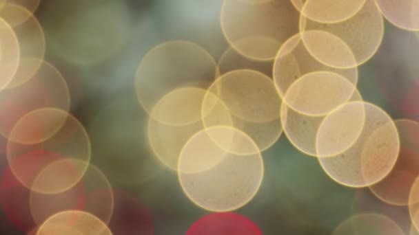 選択フォーカス ボケからクリスマスツリーへの滑らかな動き クリスマスの背景 ぼやけたガーランド おもちゃや装飾 — ストック動画