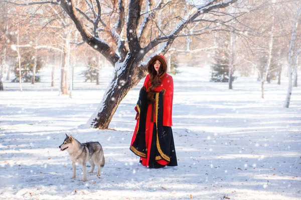 冬の森や雪を背景に灰色のハスキー犬と赤いフード付きのレインコートの若い女性 — ストック写真