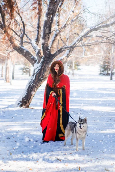 Young Woman Red Hooded Raincoat Gray Husky Dog Background Winter — Stock Photo, Image