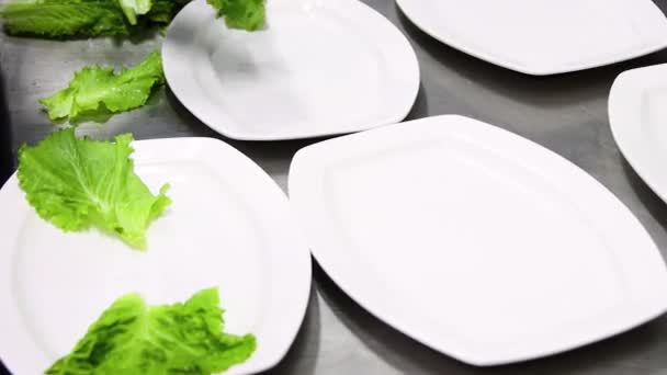 Close Chef Hands Blue Gloves Serve Plates Appetizers Rolls — Stockvideo