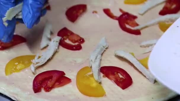 制作披萨的过程 镜头的平稳移动 有选择的聚焦 厨师双手戴着蓝色手套的特写 这些都是蔬菜 西红柿放在涂了酱汁 番茄酱 蛋黄酱的披萨皮上 — 图库视频影像