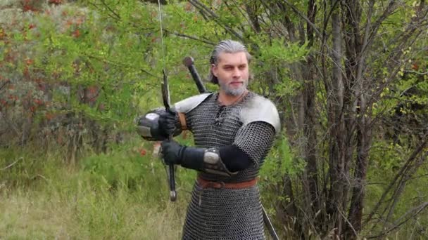 Medieval Warrior Gray Hair Scar His Face Chain Mail Shoulder — Wideo stockowe