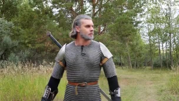 Porträt Eines Mittelalterlichen Kriegers Mit Grauen Haaren Und Einer Narbe — Stockvideo