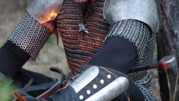 Portrait Medieval Warrior Gray Hair Scar His Face Chain Mail — Vídeos de Stock