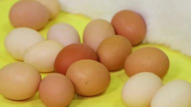 White Easter Bunny lies next to chicken eggs isolated on a yellow background.