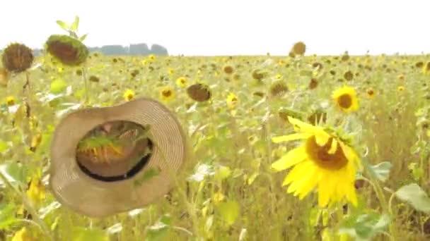 Sanfte Kamerafahrt Eine Sonnenblume Mit Strohhut Taumelt Spätsommer Und Frühherbst — Stockvideo