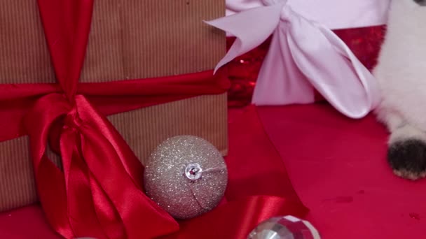 Kelinci Putih Samping Hadiah Natal Dan Dekorasi Dengan Latar Belakang — Stok Video