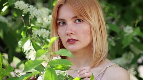 Portrait Young Woman Posing Next Branches Blossoming Bird Cherry Bokeh — Stock Video