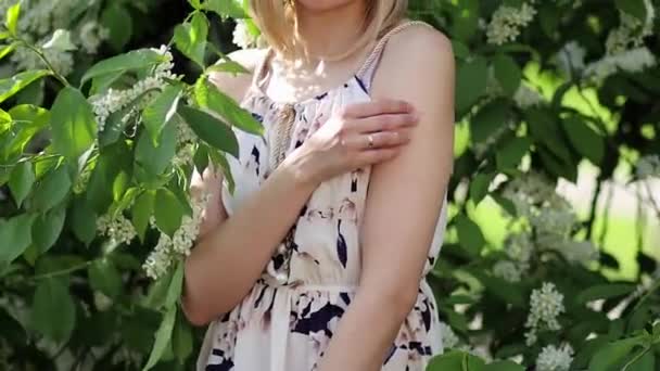 Portrait Young Woman Posing Next Branches Blossoming Bird Cherry Bokeh — Stock Video