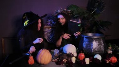 İki cadı, karanlık bir odada bir kazan, kafatası, balkabağı ve simya malzemeleriyle bir masada oturuyorlar..