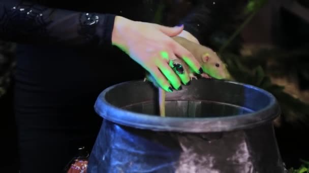 镜头平稳的移动 女巫的手的特写 用大锅施行巫术 — 图库视频影像