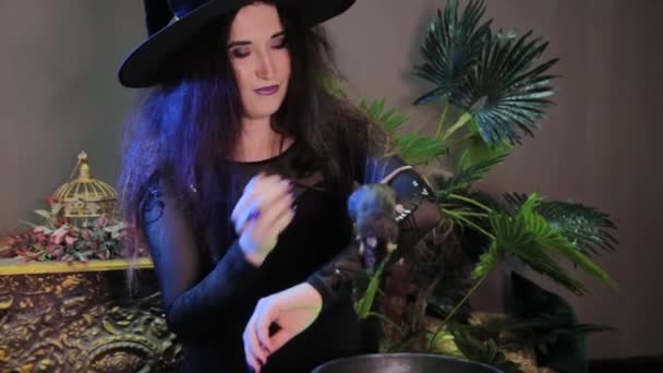 スムーズなカメラの動き 魔女の手のクローズアップ 釜を使った魔女 — ストック動画
