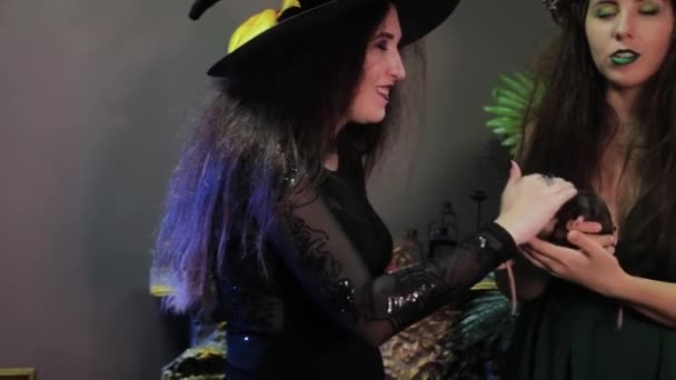Două Vrăjitoare Pozează Șobolani Mâini Stând Lângă Masă Cazan Ingrediente — Videoclip de stoc