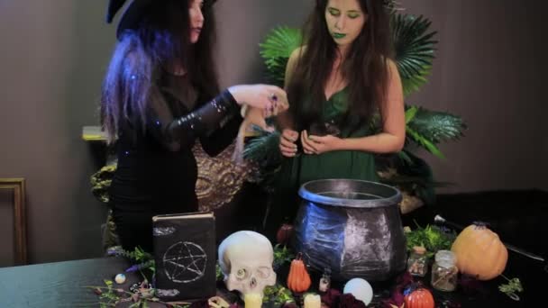 Two Witches Pose Rats Hands Standing Next Table Cauldron Alchemical — Stock Video