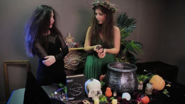 Zwei Hexen Posieren Mit Ratten Ihren Händen Neben Einem Tisch — Stockvideo