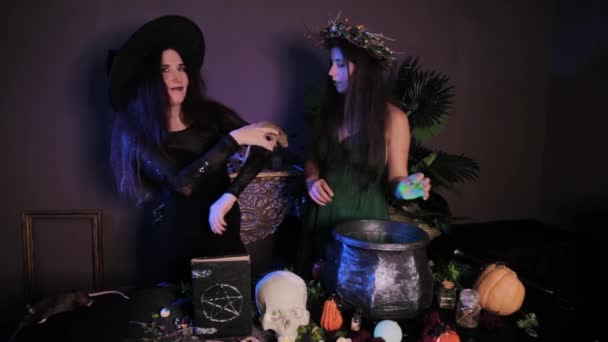 两个巫婆站在一个黑暗的房间里 手里拿着老鼠 旁边的桌子上放着一个大锅和炼金术士配料 — 图库视频影像