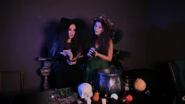 Dvě Čarodějky Pózují Krysami Rukou Stojící Vedle Stolu Kotlem Alchymistickými — Stock video