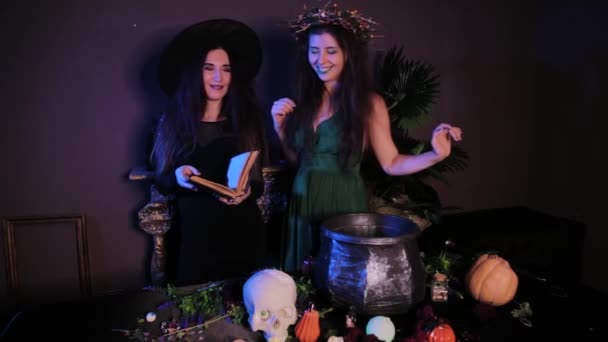 Zwei Hexen Posieren Neben Einem Tisch Mit Hexenkessel Totenkopf Und — Stockvideo